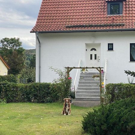 Ferienhaus Am Muehlgraben Thale Εξωτερικό φωτογραφία